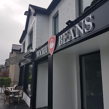 Mocha Newcastle Bed and Breakfast Γκάλγουεϊ Εξωτερικό φωτογραφία