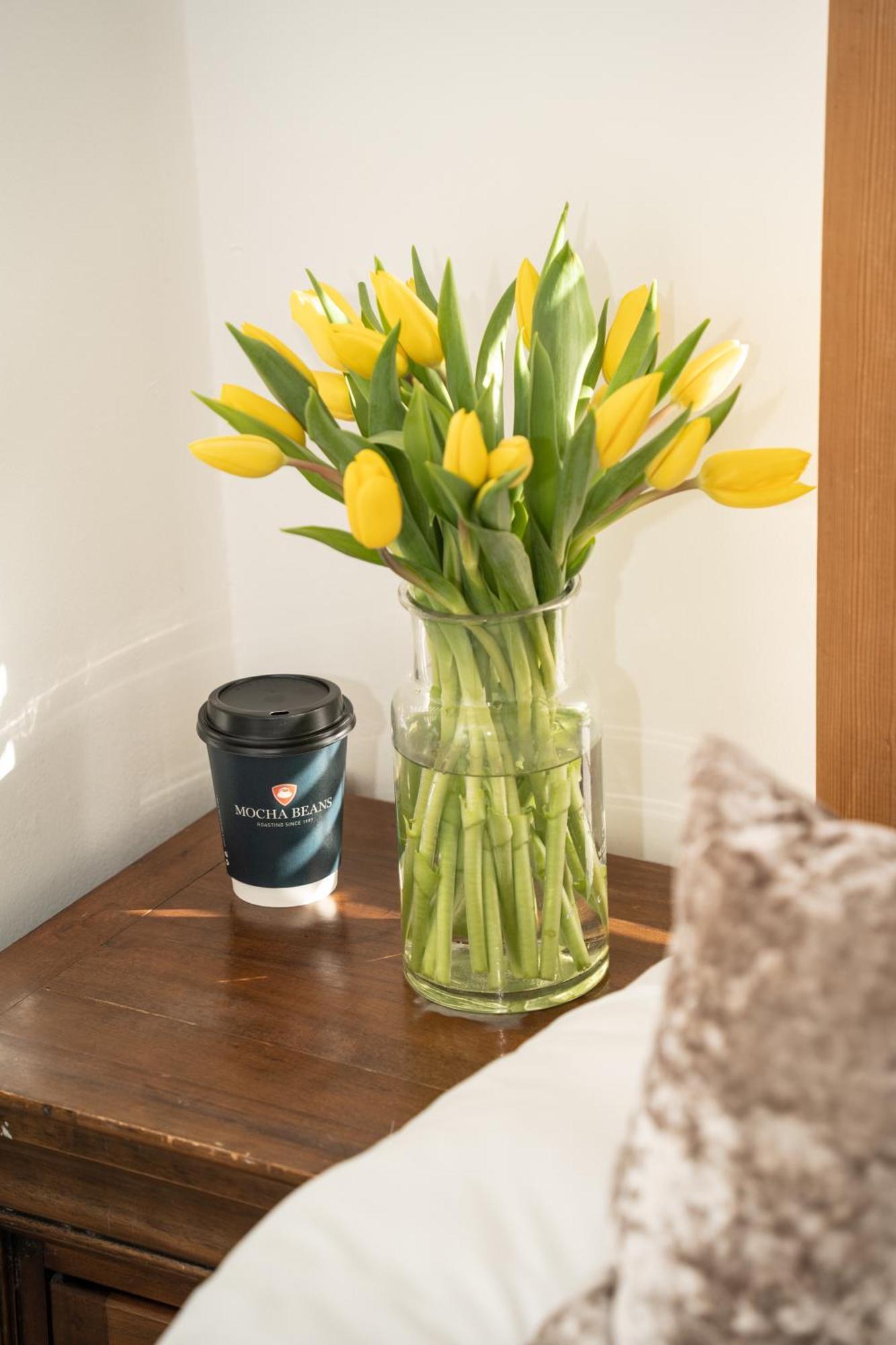 Mocha Newcastle Bed and Breakfast Γκάλγουεϊ Εξωτερικό φωτογραφία